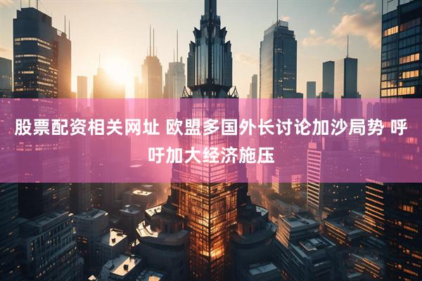 股票配资相关网址 欧盟多国外长讨论加沙局势 呼吁加大经济施压