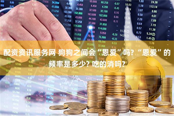 配资资讯服务网 狗狗之间会“恩爱”吗? “恩爱”的频率是多少? 吃的消吗?